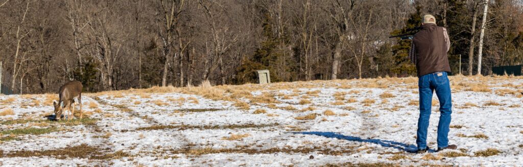 Rancher tranquilizing deer with dart gun