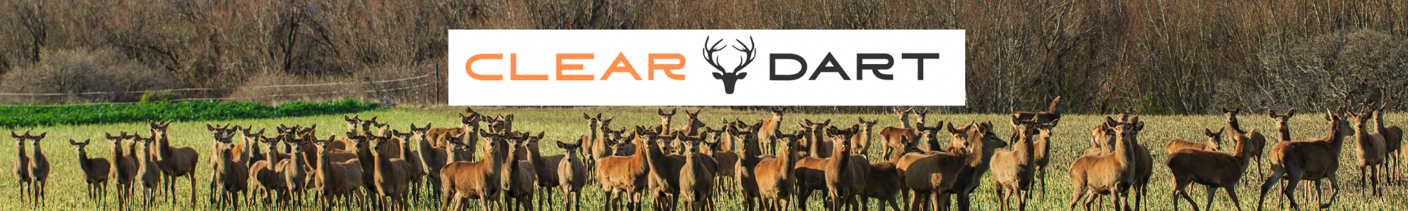 clear dart logo with deer in field